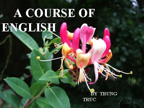 A COURSE OF ENGLISH