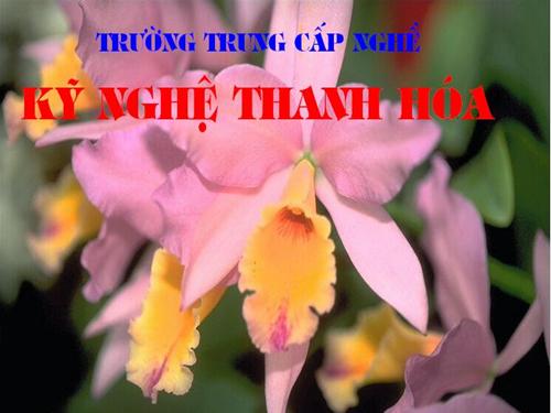 Giáo án hình học họa hình