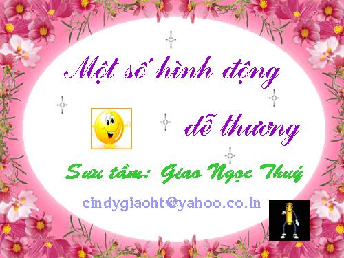 hinh nền cho pp