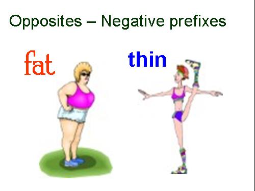 Opposites and Negative Prefixes