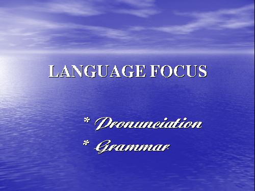 Language focus(nguyenthimminhphuong)