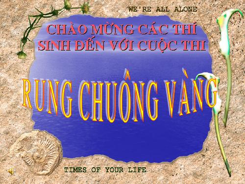 rung chuông vàng