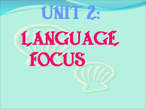 unit1-language focus