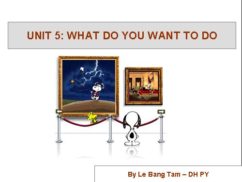 Unit 5 - WƯhat do you want to do