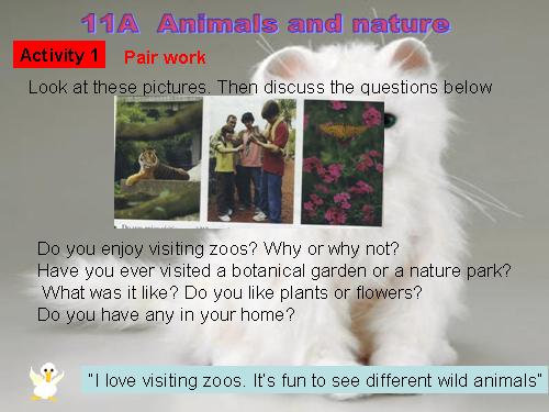 animals and nature