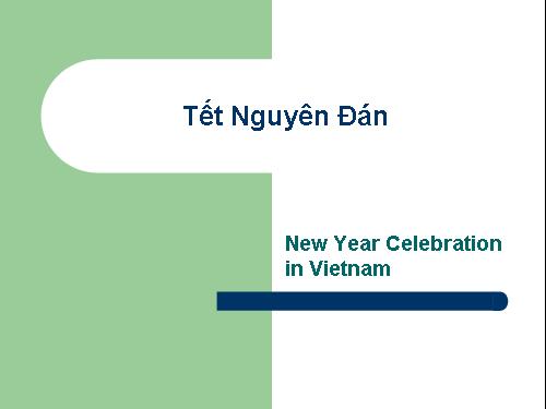 New Year Celebration in Vietnam