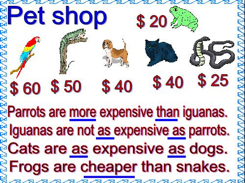 petshop