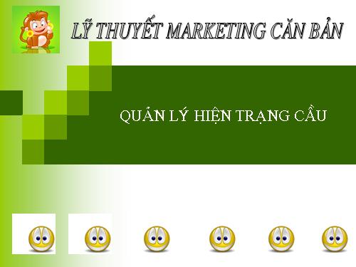 quản lý hiện trạng cầu