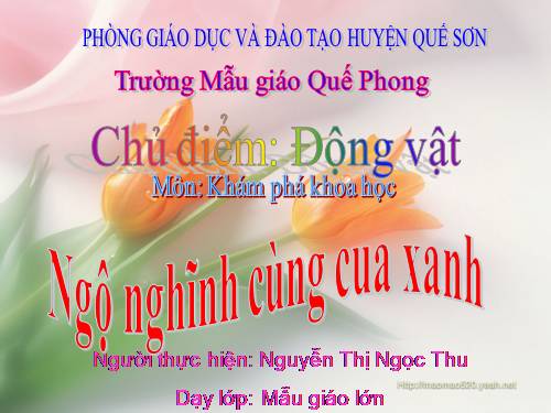 Khám phá Khoa học (5 tuổi).