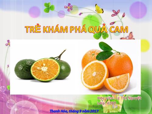 kham pha con cá vàng