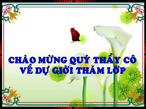 KHÔI PHUC MOI TRƯỜNG GÌN GIỮ THIÊN NHIEN HOANG DÃ