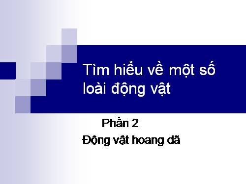 Tìm hiểu về một số loài động vật phần 2