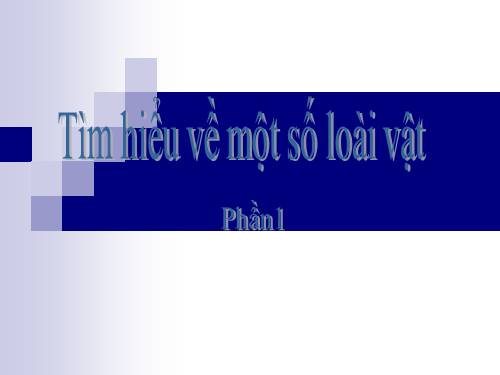 Tìm hiểu về một số loài vật