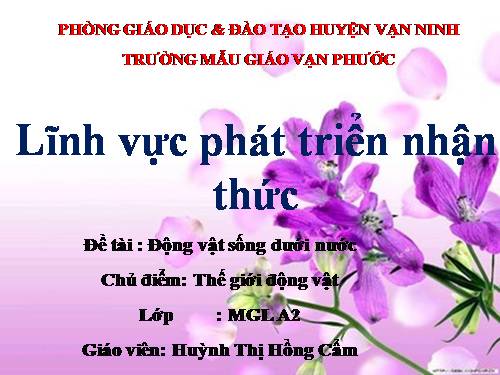 dong vat song duoi nuoc