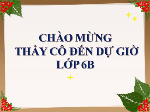 Bài 15. Chỉnh sửa văn bản