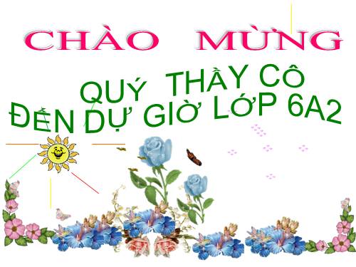 Bài 5. Luyện tập chuột