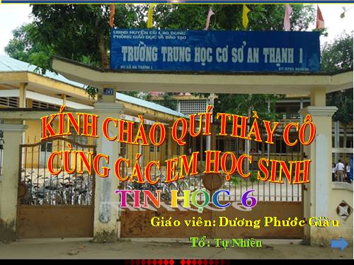 Bài 11. Tổ chức thông tin trong máy tính