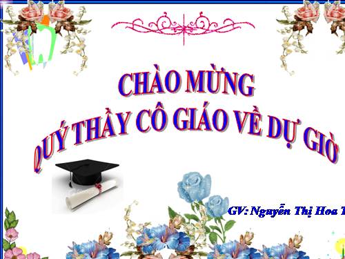 Bài 19. Tìm kiếm và thay thế