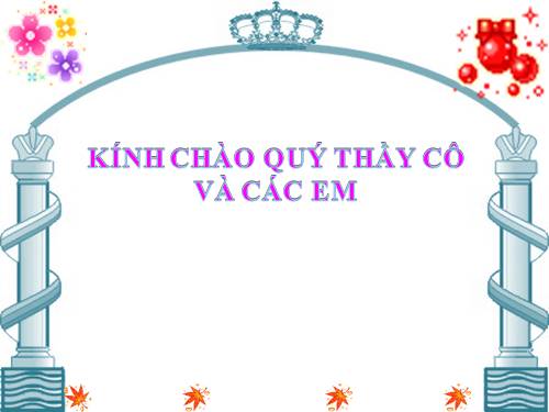 Bài 19. Tìm kiếm và thay thế