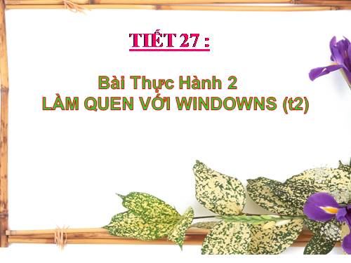 Bài thực hành 2. Làm quen với Windows