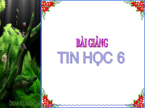 Bài 11. Tổ chức thông tin trong máy tính