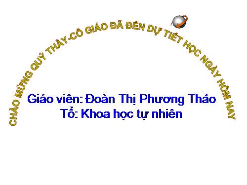 Bài 11. Tổ chức thông tin trong máy tính