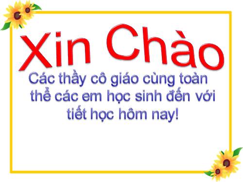 Bài 21. Trình bày cô đọng bằng bảng