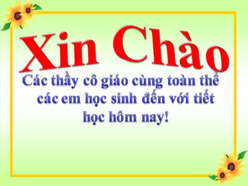 Bài 19. Tìm kiếm và thay thế