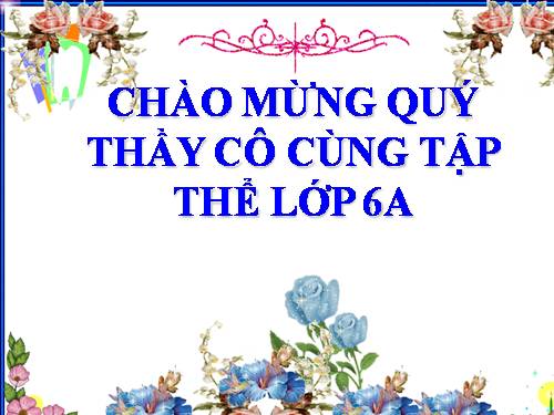 Bài 19. Tìm kiếm và thay thế