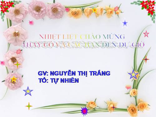 Bài 21. Trình bày cô đọng bằng bảng