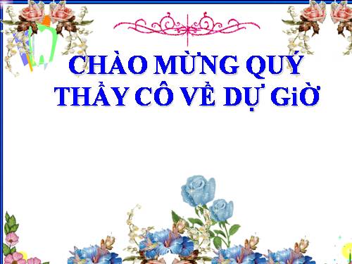 Bài 19. Tìm kiếm và thay thế