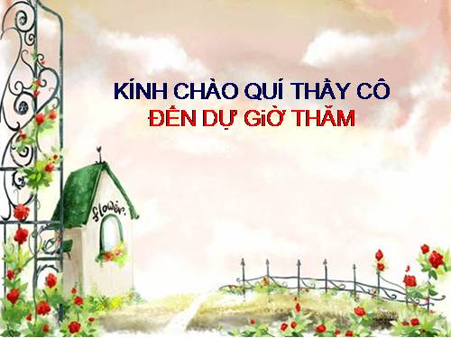 Bài 19. Tìm kiếm và thay thế