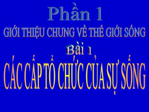 Bài 7. Sử dụng phần mềm Mario để luyện gõ phím