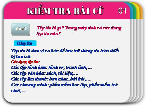 Bài 11. Tổ chức thông tin trong máy tính