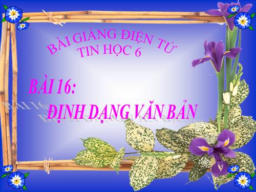 Bài 16. Định dạng văn bản