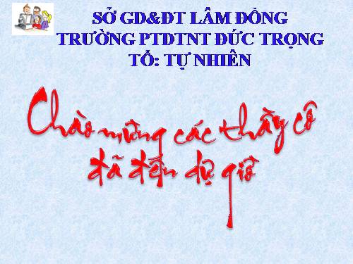 Bài 10. Hệ điều hành làm những việc gì?