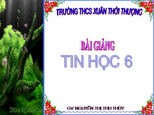 Bài 11. Tổ chức thông tin trong máy tính