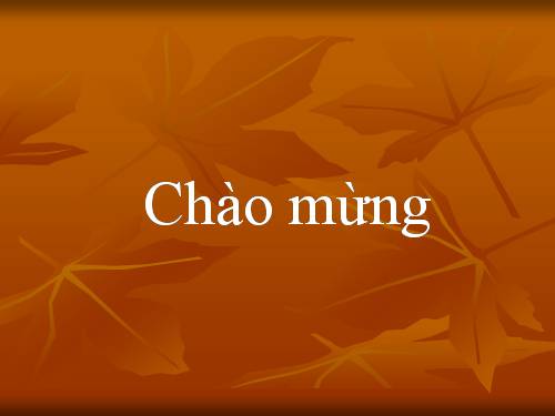 Bài 15. Chỉnh sửa văn bản