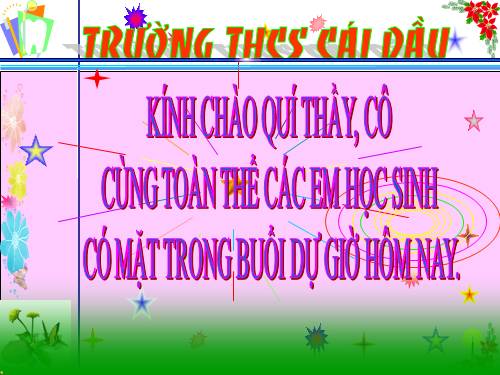 Bài 21. Trình bày cô đọng bằng bảng