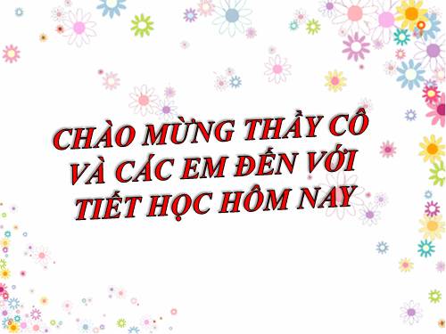 Bài 20. Thêm hình ảnh để minh họa