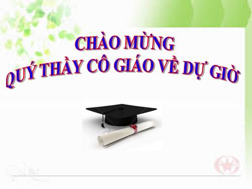 Bài 19. Tìm kiếm và thay thế