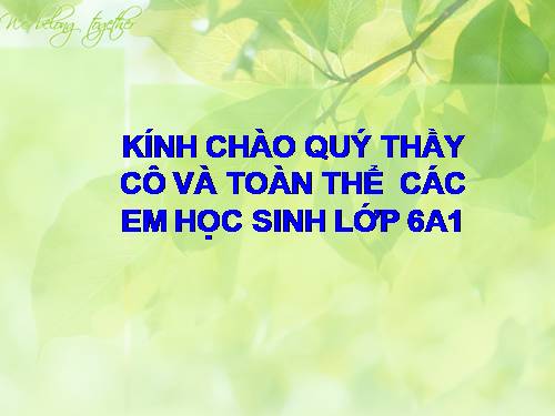 Bài 19. Tìm kiếm và thay thế