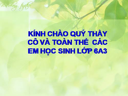 Bài 19. Tìm kiếm và thay thế