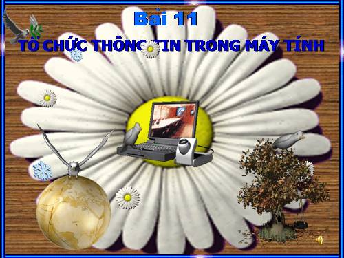 Bài 11. Tổ chức thông tin trong máy tính