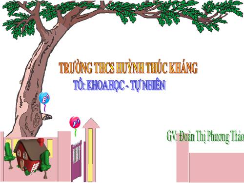 Bài 6. Học gõ mười ngón