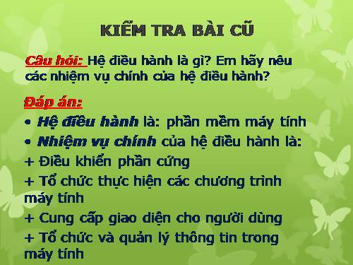 Bài 11. Tổ chức thông tin trong máy tính