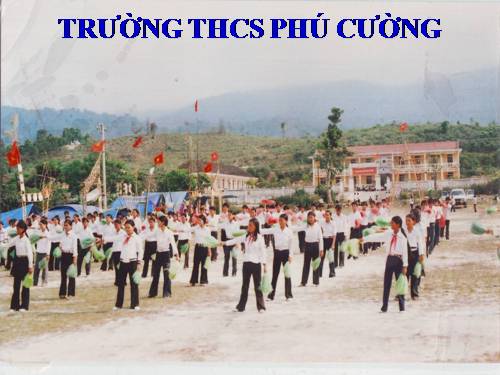 Bài 11. Tổ chức thông tin trong máy tính