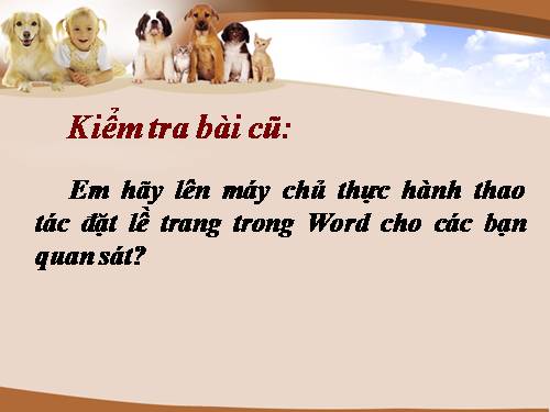 Bài 19. Tìm kiếm và thay thế