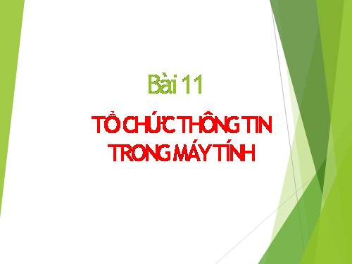 Bài 11. Tổ chức thông tin trong máy tính