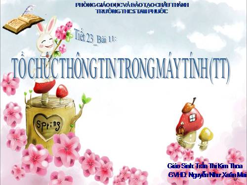 Bài 11. Tổ chức thông tin trong máy tính